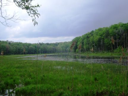 Property in Oneida County, New York