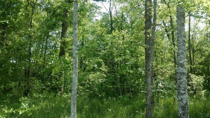 Property in Miller County, Arkansas