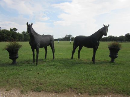 Property in Waller County, Texas