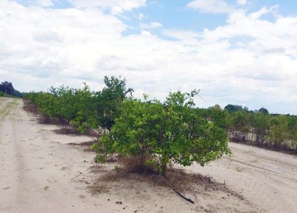 Property in Polk County, Florida