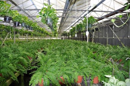 Property in Orange County, Florida