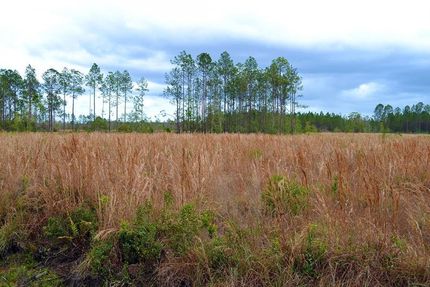 Property in Volusia County, Florida