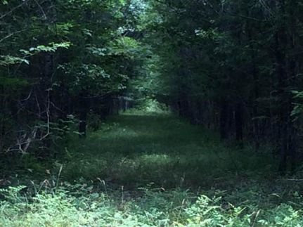 Property in Grenada County, Mississippi