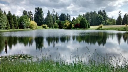 Property in Columbia County, Oregon