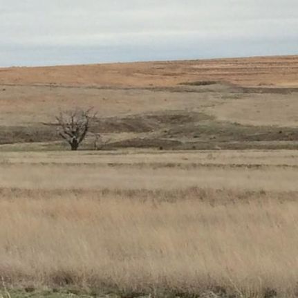 Property in Lipscomb County, Texas