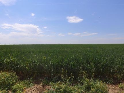 Property in Baylor County, Texas