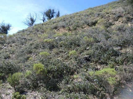 Property in San Diego County, California