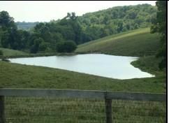 Property in Carroll County, Kentucky