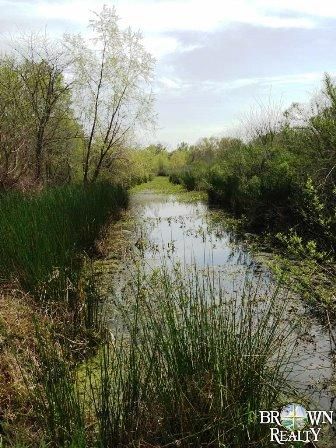 Property in Richland Parish, Louisiana