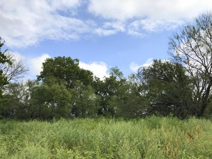 Property in Young County, Texas