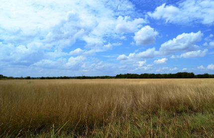 Property in Bexar County, Texas