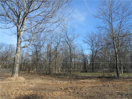 Property in Wise County, Texas