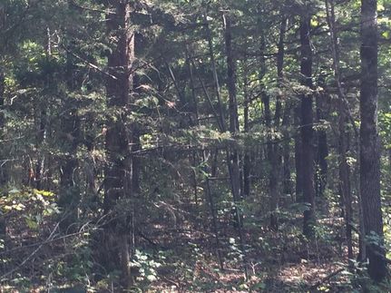 Property in Baxter County, Arkansas