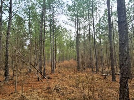 Property in Kershaw County, South Carolina