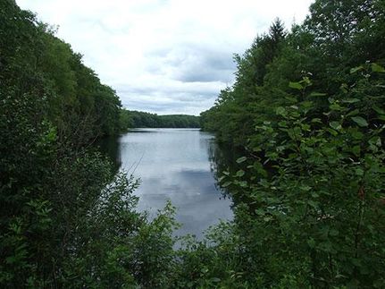 Property in New London County, Connecticut