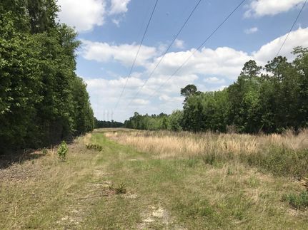 Property in Coffee County, Georgia