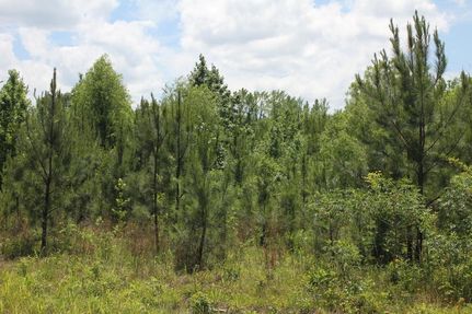 Property in Lamar County, Alabama