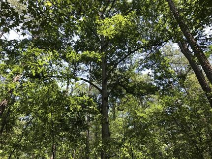 Property in Rockdale County, Georgia