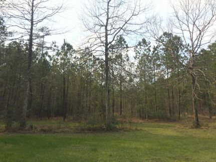 Property in Berkeley County, South Carolina