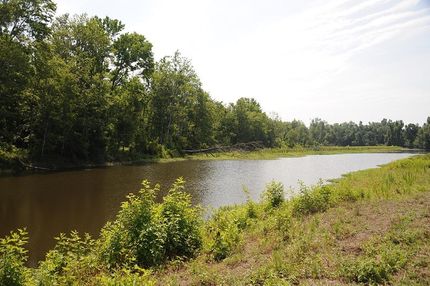 Property in Marion County, South Carolina