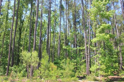 Property in Berkeley County, South Carolina