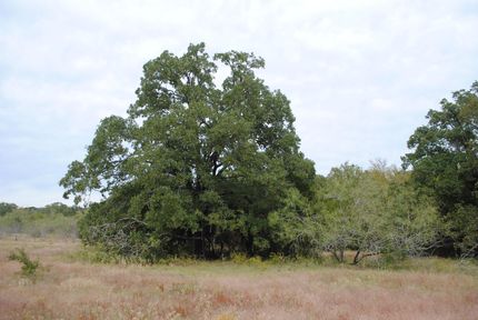 Property in Milam County, Texas
