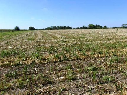 Property in Nuckolls County, Nebraska