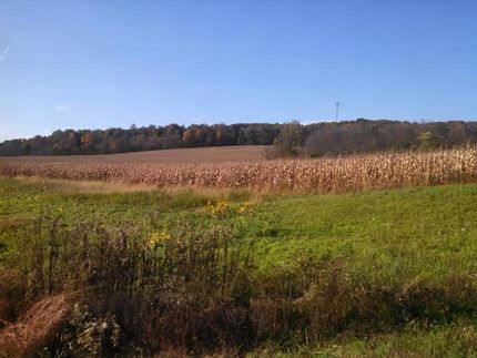 Property in Union County, Pennsylvania