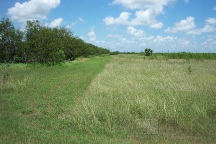 Property in Willacy County, Texas