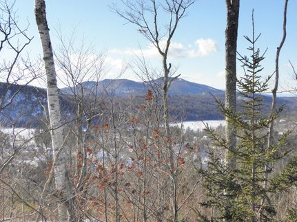 Property in Oxford County, Maine