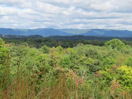 Property in Carroll County, Virginia