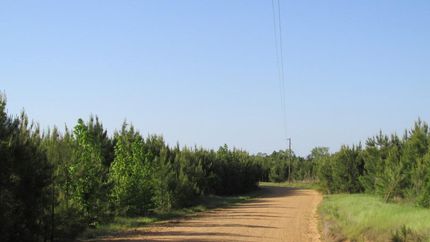 Property in Ouachita County, Arkansas