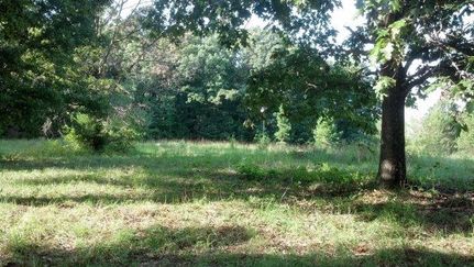 Property in Charlotte County, Virginia