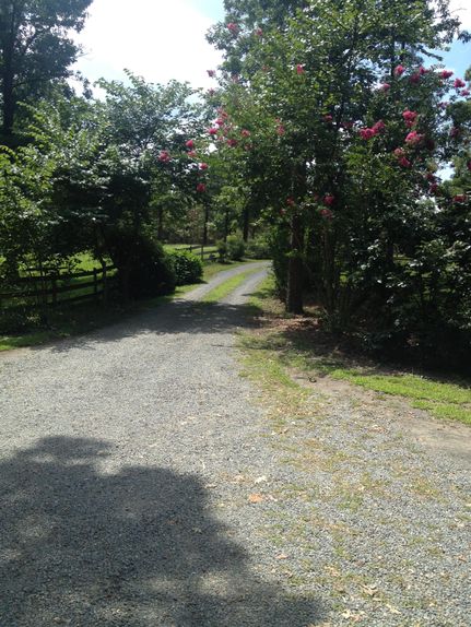 Property in Polk County, Arkansas