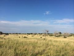 Property in Stonewall County, Texas