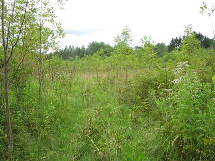 Property in Wayne County, New York