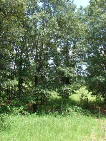 Property in Choctaw County, Oklahoma