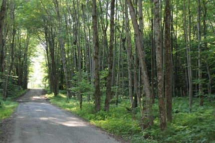 Property in Oneida County, New York