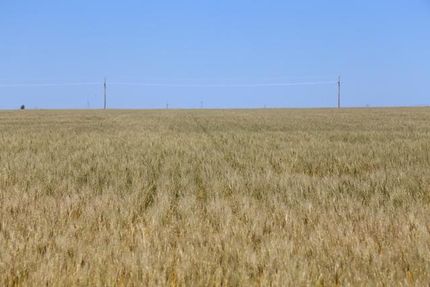 Property in Thomas County, Kansas