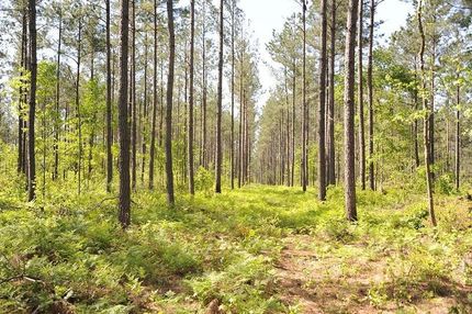 Property in Robeson County, North Carolina