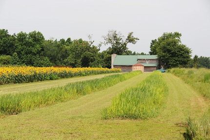 Property in Dillon County, South Carolina