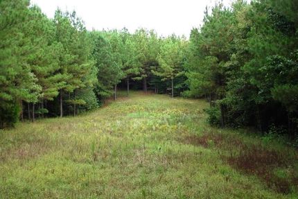 Property in Sumter County, Alabama