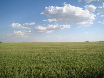 Property in Finney County, Kansas