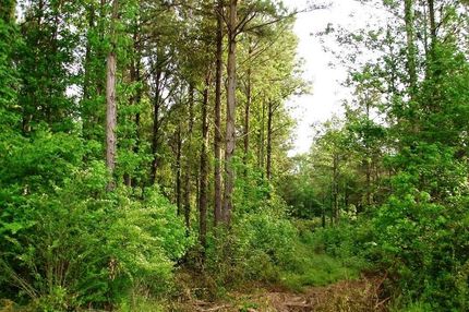 Property in Hale County, Alabama