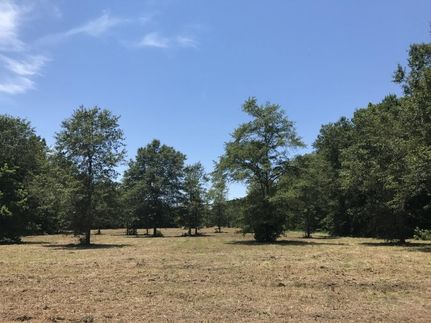 Property in Berkeley County, South Carolina
