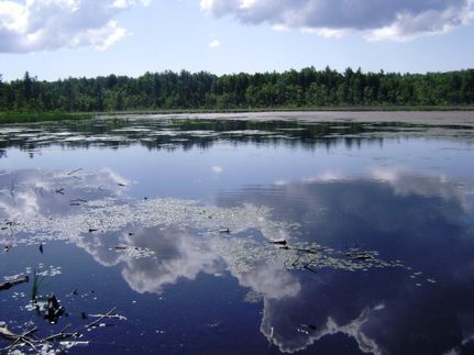 Property in Saratoga County, New York