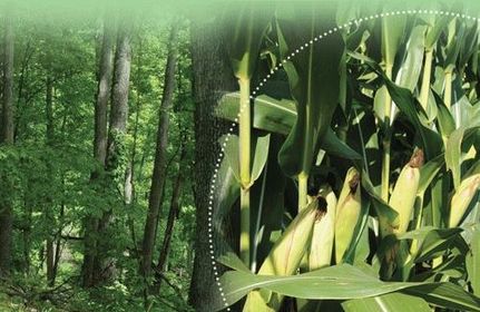 Property in Warren County, Indiana