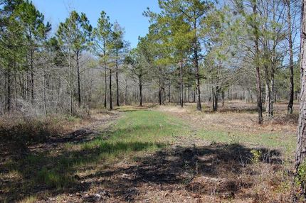 Property in Worth County, Georgia