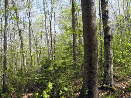 Property in Windsor County, Vermont