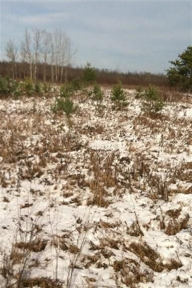 Property in Missaukee County, Michigan